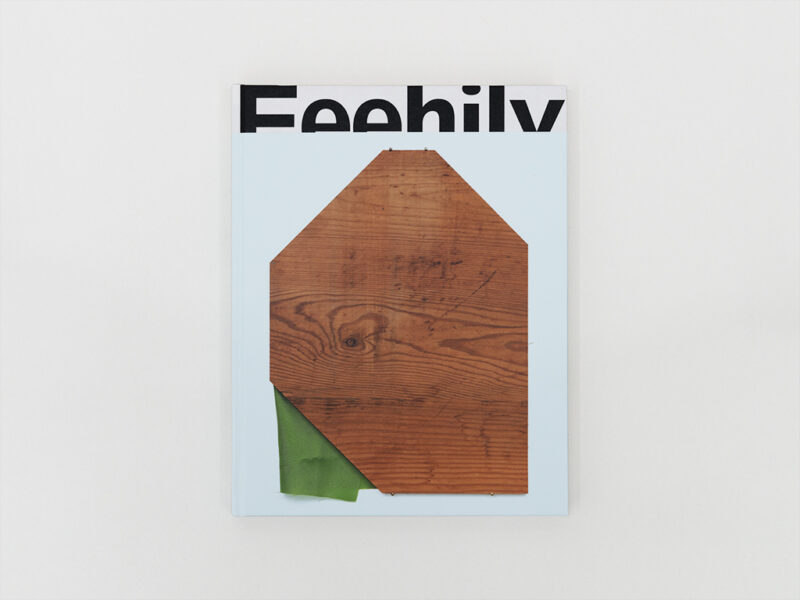 Fergus Feehily | 2023 | 224 S., Englisch, Hardcover, 23 x 29.7 cm